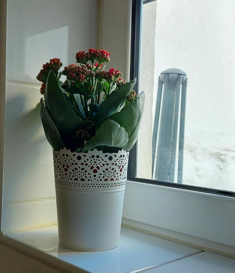 Cozy In Lisbona